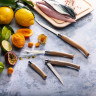 Нож филейный OPINEL №10, нержавеющая сталь, рукоять из дерева бука 002559
